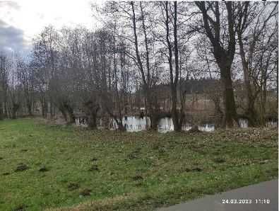 Działka siedliskowa Kolno. Zdjęcie 7