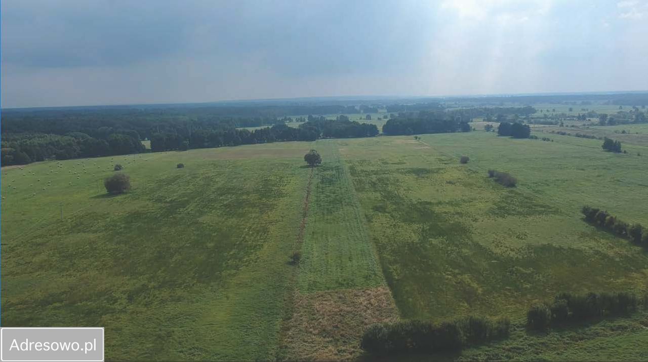 Działka rolna Racimierz. Zdjęcie 4