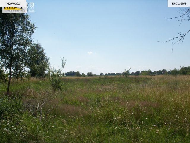 Działka rolna Radawka. Zdjęcie 2