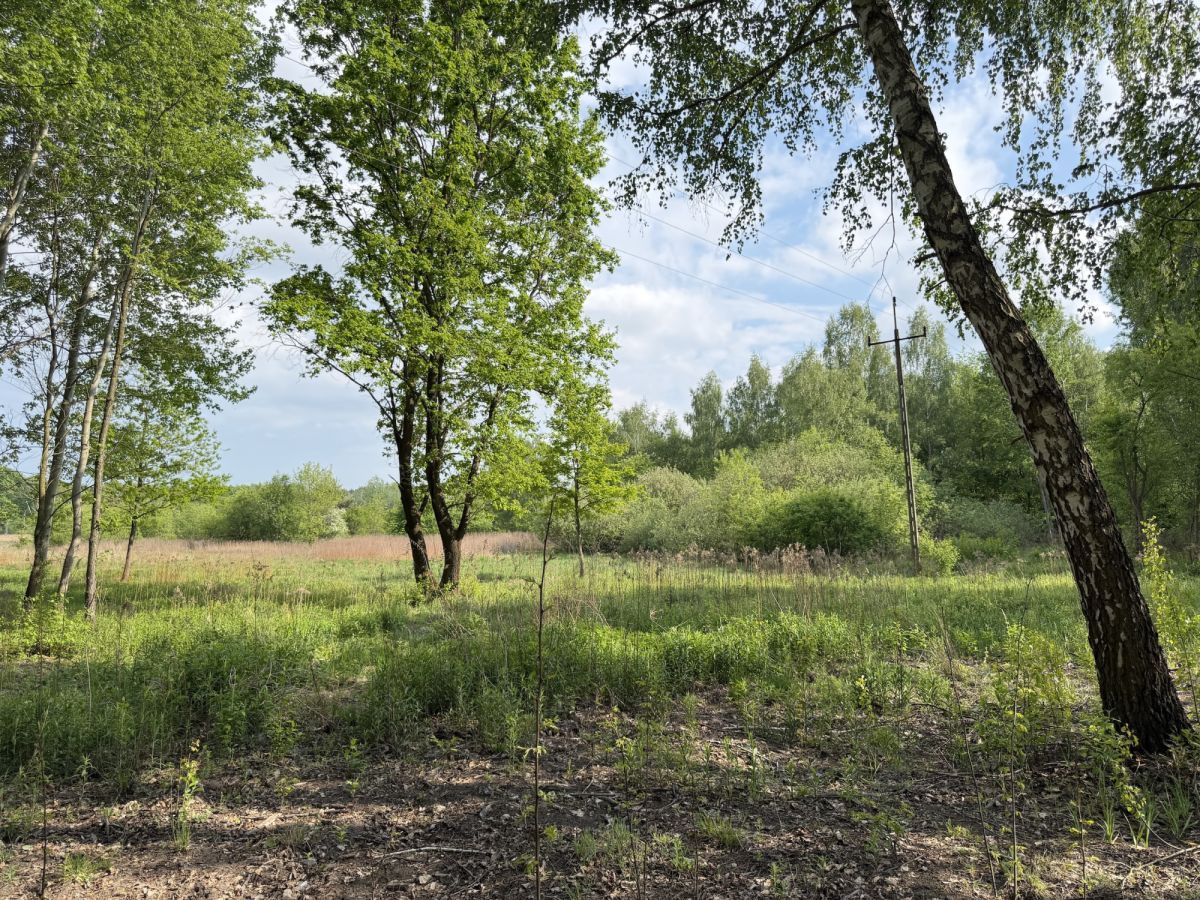 Działka budowlana Komorów, ul. Polna. Zdjęcie 6