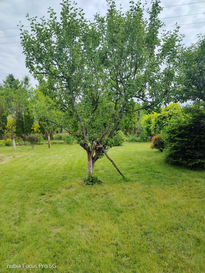 Działka rod Tarnów, ul. św. Katarzyny. Zdjęcie 2