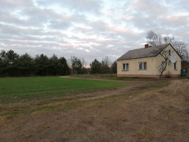 Działka rolna Dąbrówka-Stany. Zdjęcie 1