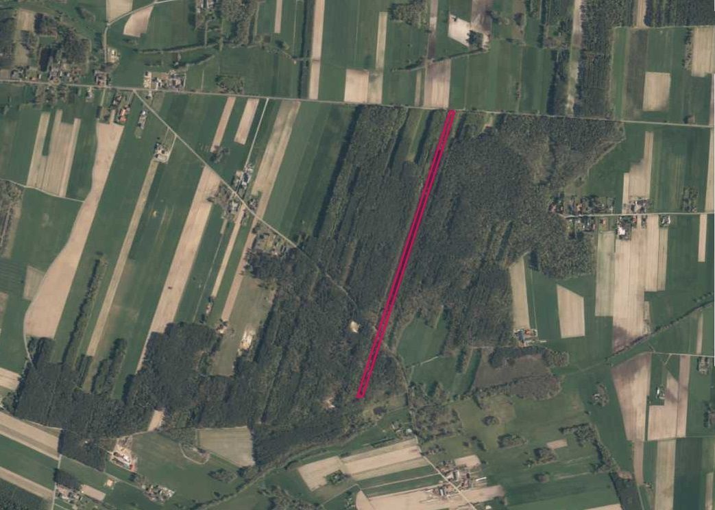 Działka leśna Jesionna