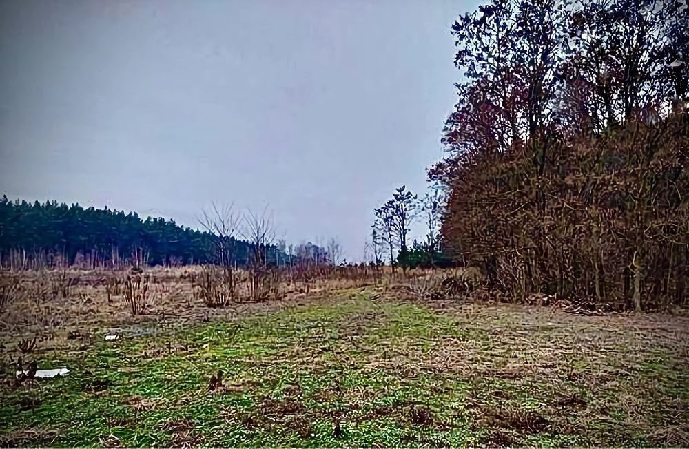 Działka rolna Edwardowo. Zdjęcie 3