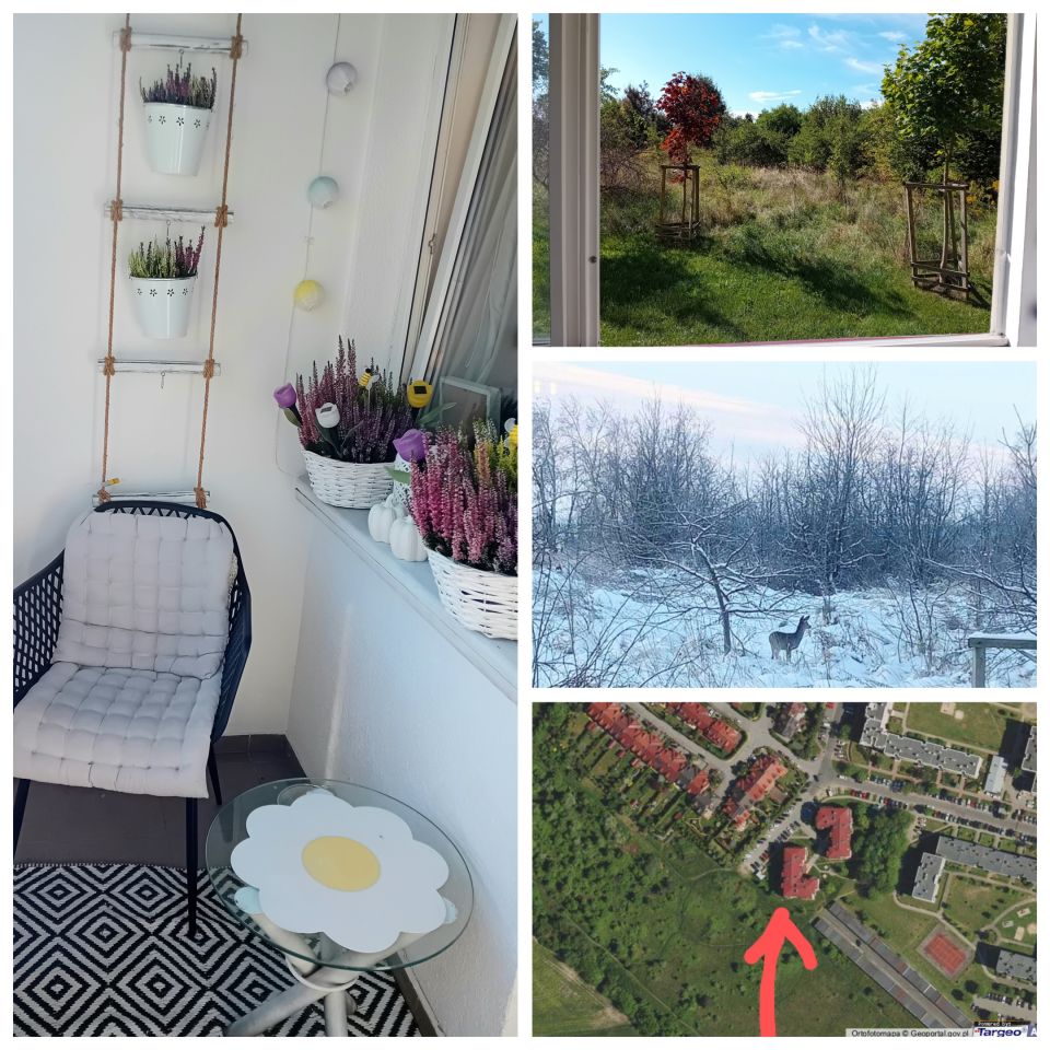 Mieszkanie 2-pokojowe Lubin, ul. Adama Asnyka. Zdjęcie 15