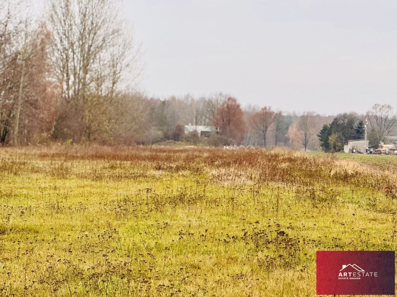 Działka rekreacyjna Nowy Adamów. Zdjęcie 11