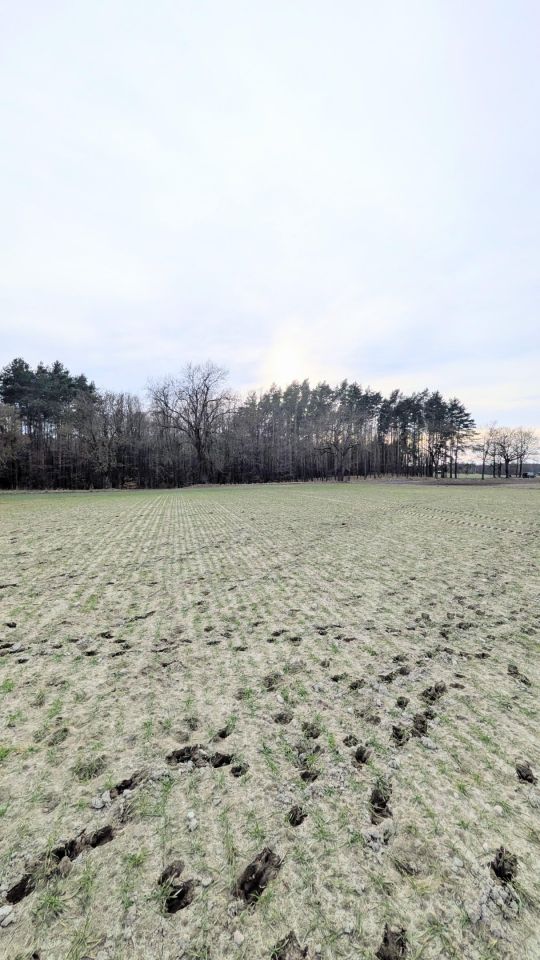 Działka budowlana Potrzanowo Włókna, ul. Skocka. Zdjęcie 3