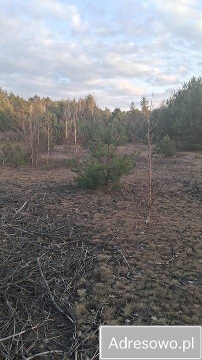 Działka rekreacyjna Karolówka. Zdjęcie 3