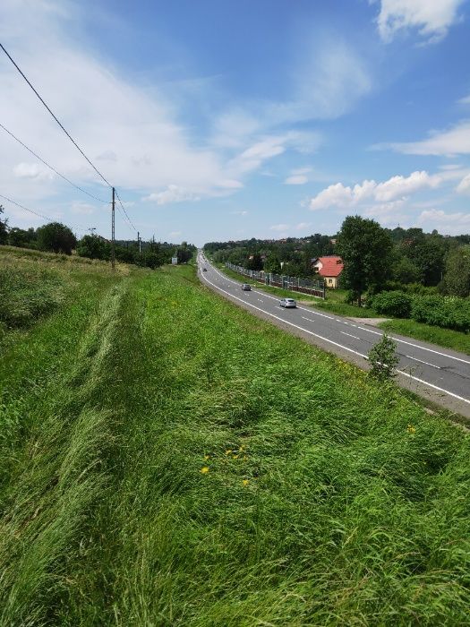 Działka inwestycyjna Bodzanów. Zdjęcie 3