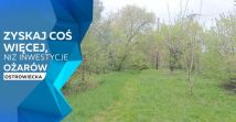 Działka rolno-budowlana Ożarów, ul. Ostrowiecka. Zdjęcie 4