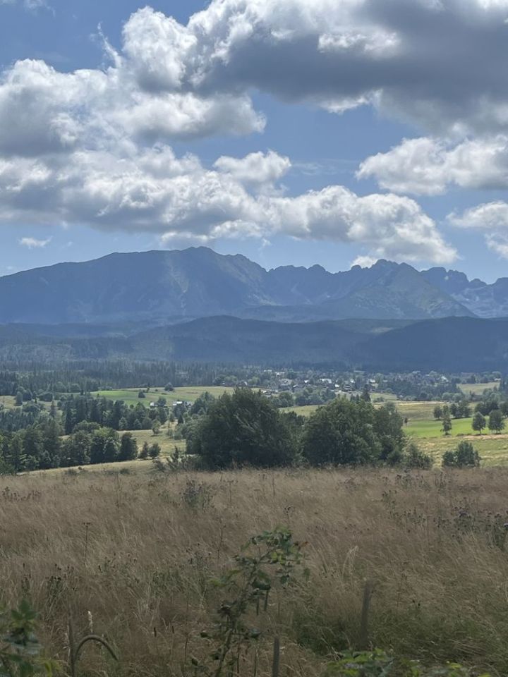 Działka rekreacyjna Zakopane Olcza. Zdjęcie 5