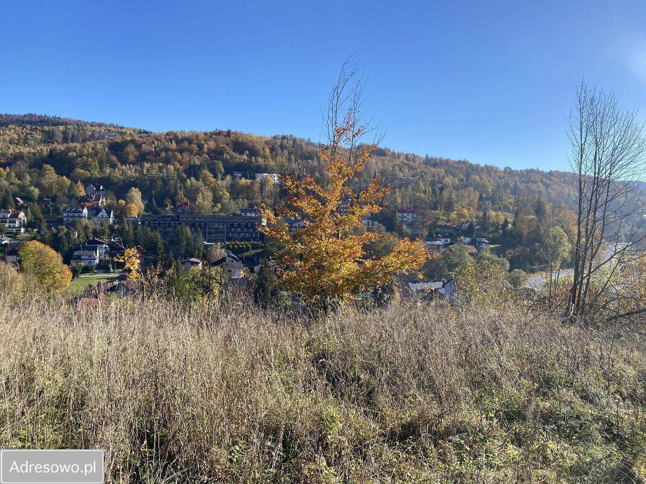 Działka budowlana Wisła Dziechcinka, ul. Sosnowa. Zdjęcie 3