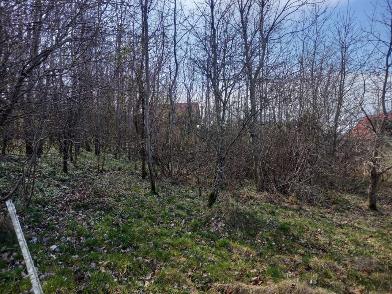 Działka budowlana Rusinowo, ul. Świętego Mikołaja. Zdjęcie 8