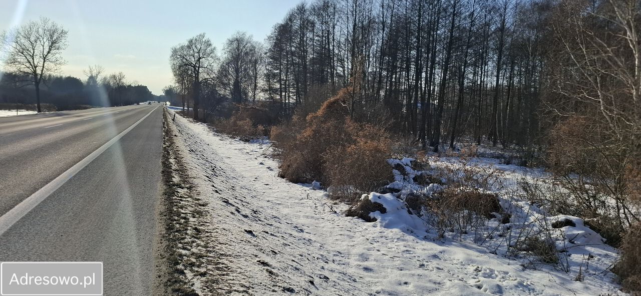 Działka rolna Dobrut. Zdjęcie 6