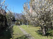 Działka rod Gliwice Szobiszowice, ul. Bernardyńska. Zdjęcie 2
