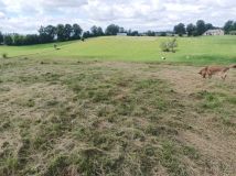 Działka rolna Dąbrówka. Zdjęcie 3