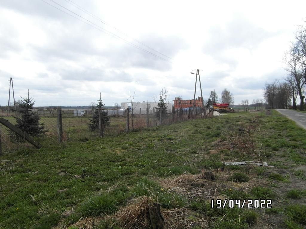 Działka rolno-budowlana Niedrzew Drugi. Zdjęcie 3