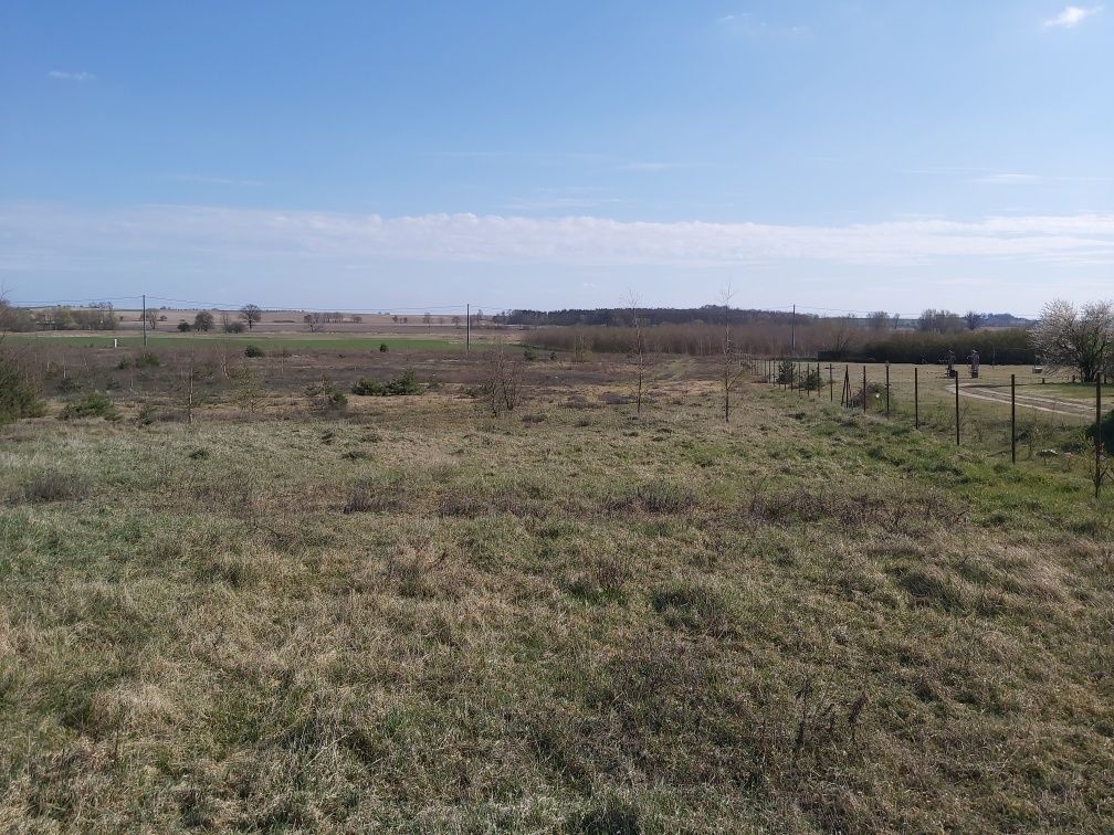 Działka budowlana Wysoka. Zdjęcie 4