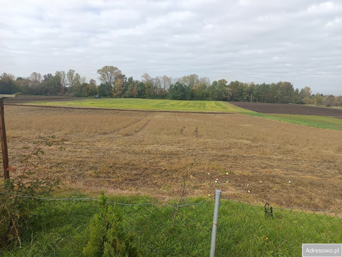 Działka rolno-budowlana Skołoszów, ul. Bracka