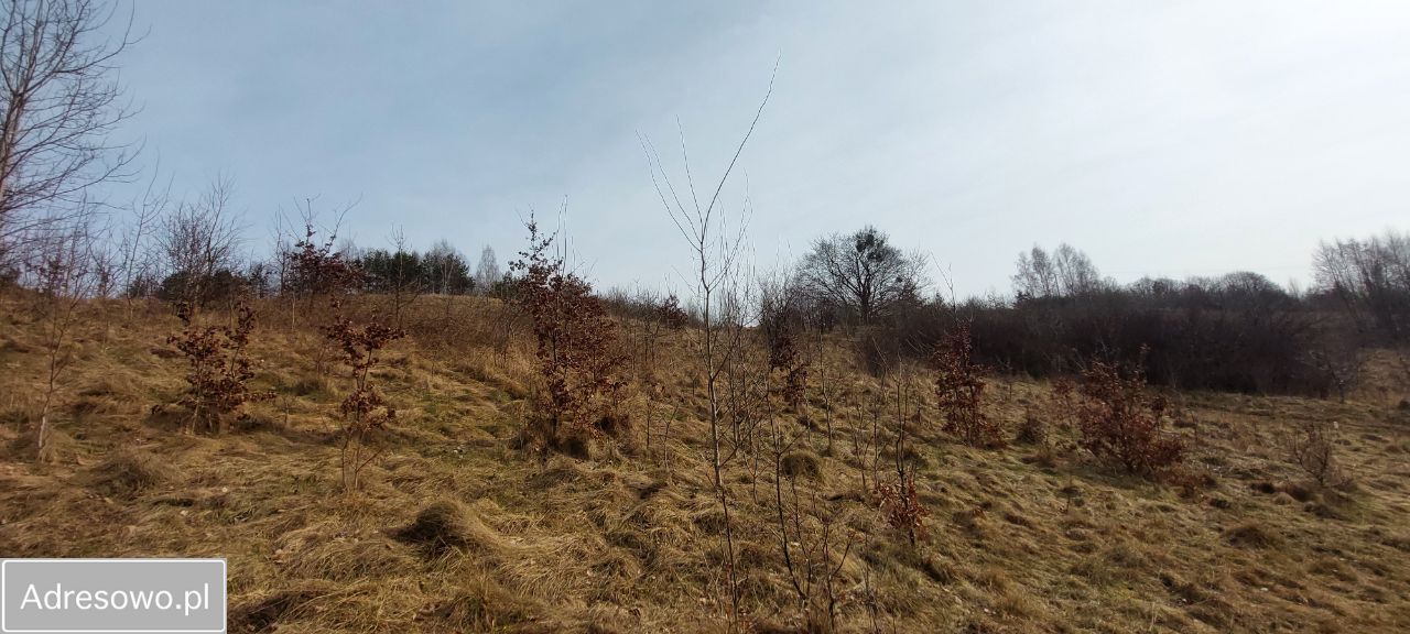 Działka rekreacyjna Brodnica Dolna, ul. Jastrzębia. Zdjęcie 14