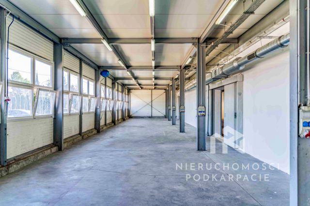 Lokal Rzeszów, ul. Witolda. Zdjęcie 8