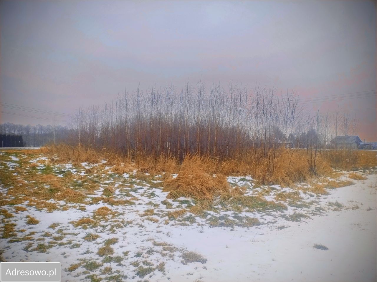 Działka budowlana Kończyce Małe, ul. Brzoskwiniowa. Zdjęcie 3