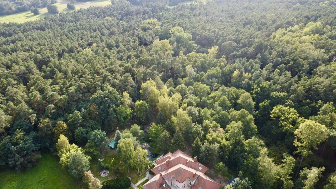 dom wolnostojący, 10 pokoi Cekanowo, ul. Leśna. Zdjęcie 20