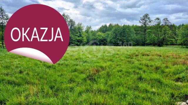 Działka inwestycyjna Sosnówka. Zdjęcie 7