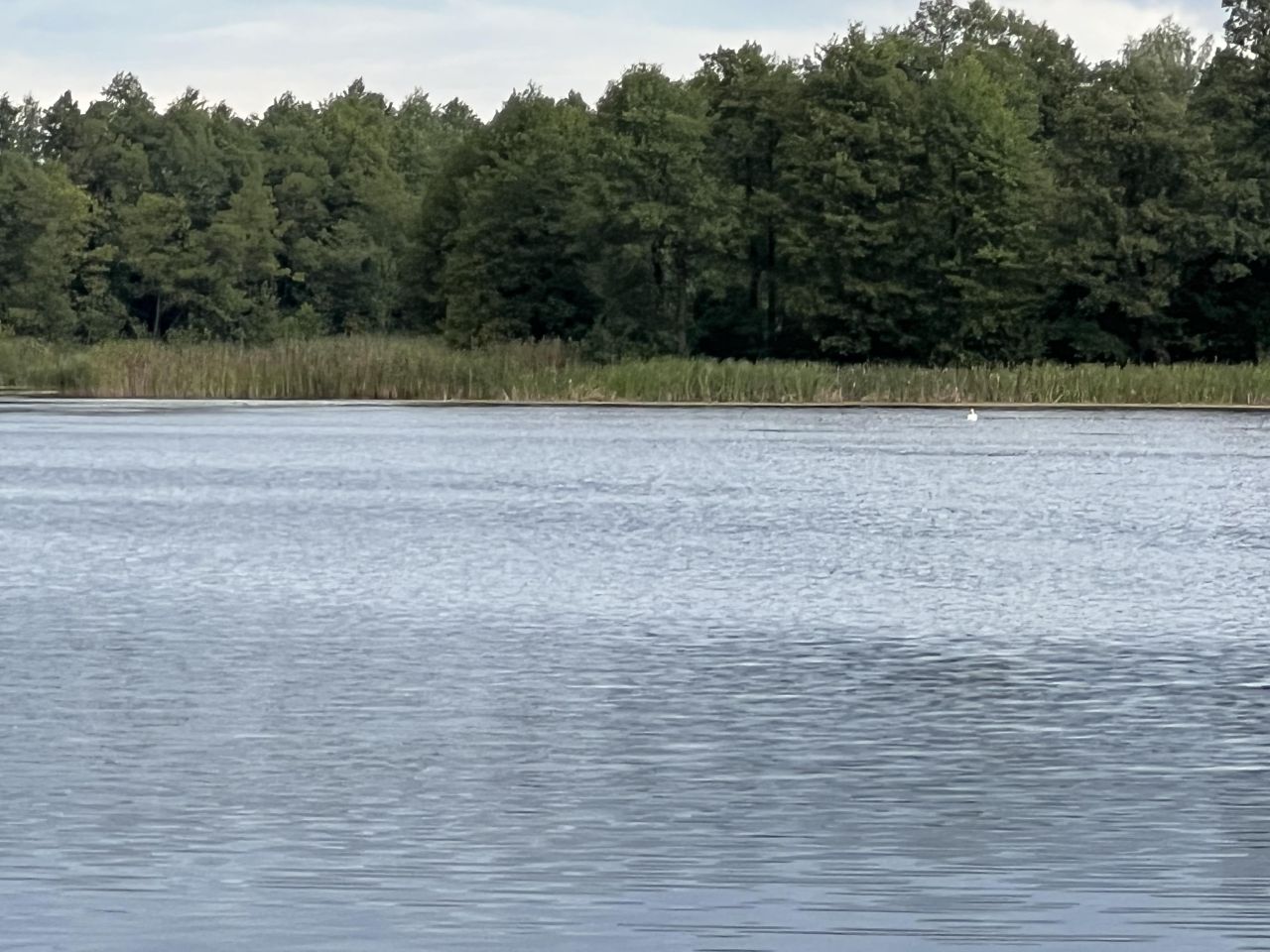 Działka rolno-budowlana Talki. Zdjęcie 4