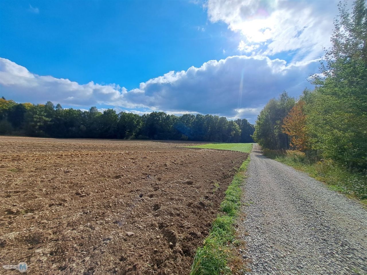 Działka siedliskowa Łagów. Zdjęcie 4