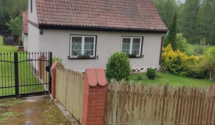 dom wolnostojący Pilec