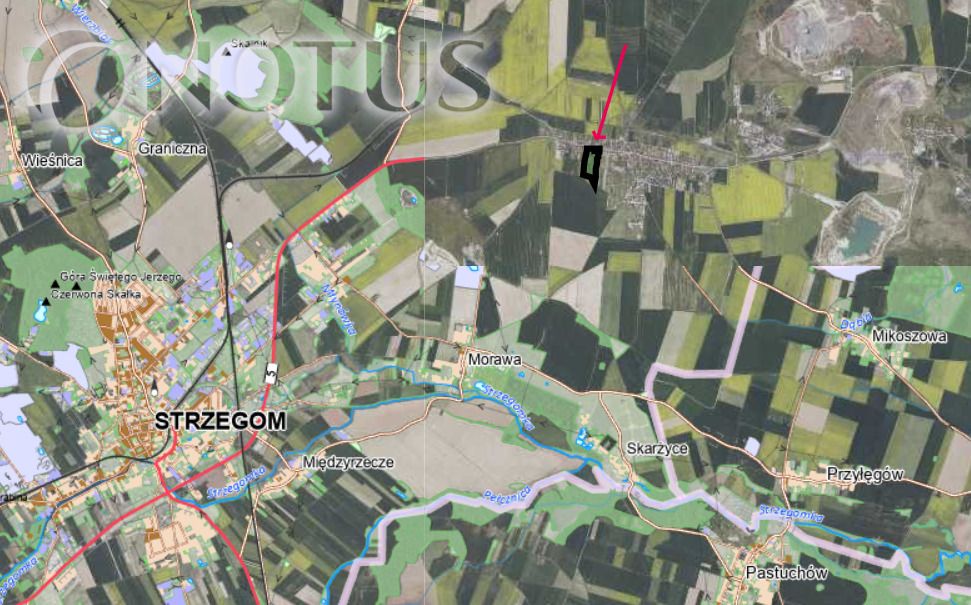 Działka inwestycyjna Jaroszów. Zdjęcie 2