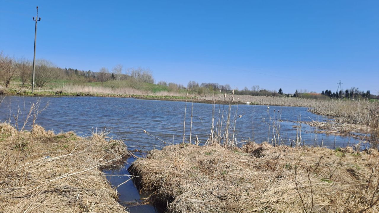 Działka rolna Glebiska. Zdjęcie 5