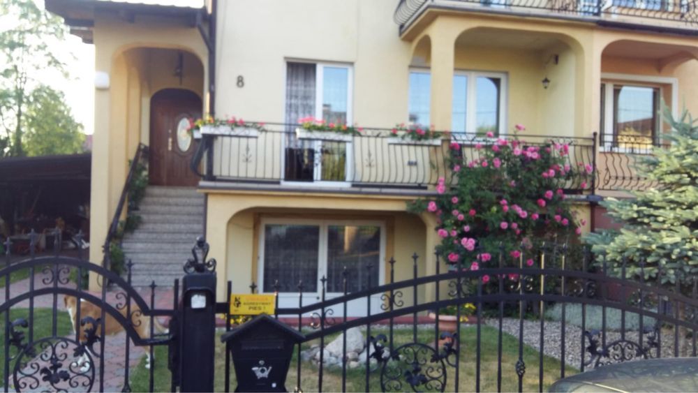 bliźniak Iława. Zdjęcie 2