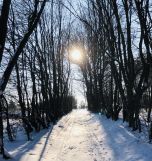 siedlisko, 5 pokoi Żuków Dębina. Zdjęcie 3