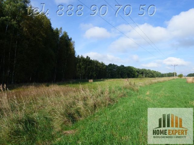 Działka Trójca. Zdjęcie 1