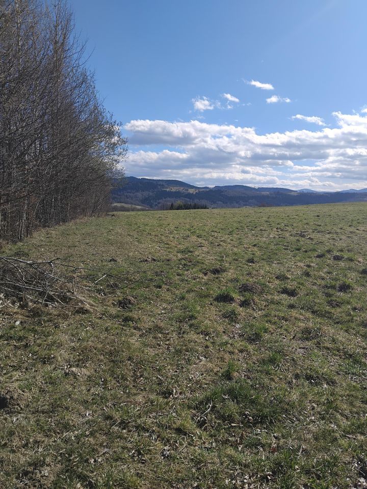 Działka rolna Gilowice Stary Dwór, ul. Działy Dworskie. Zdjęcie 3