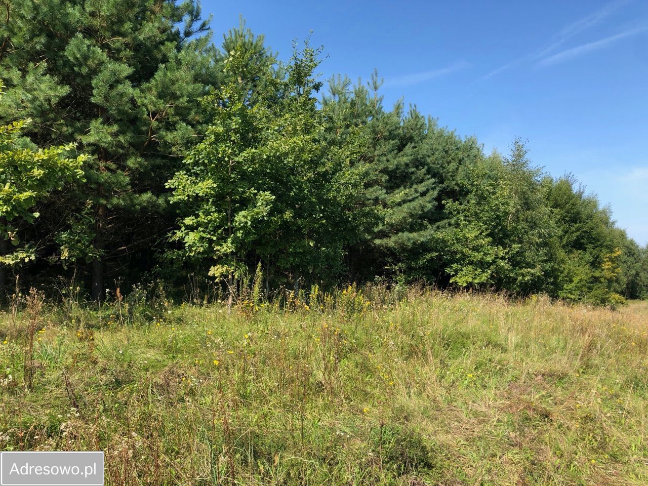 Działka rolna Lekity. Zdjęcie 7