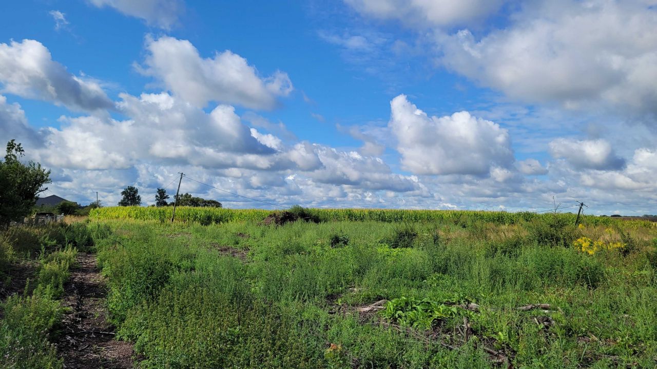 Działka budowlana Deszczno. Zdjęcie 6