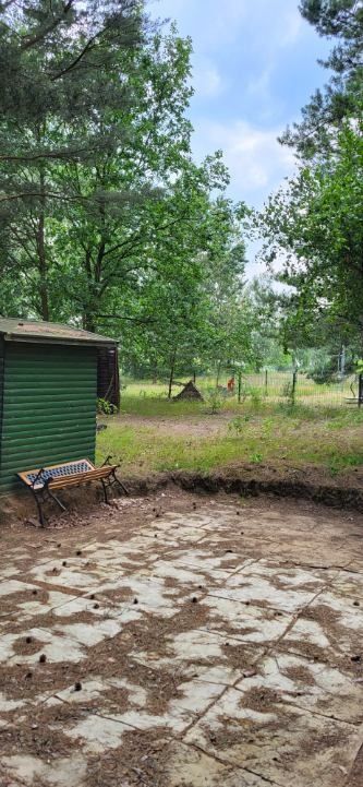 Działka rod Polkowice. Zdjęcie 6