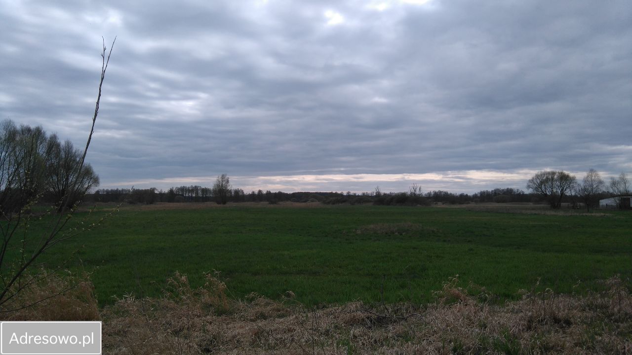 Działka rolno-budowlana Płonica. Zdjęcie 5