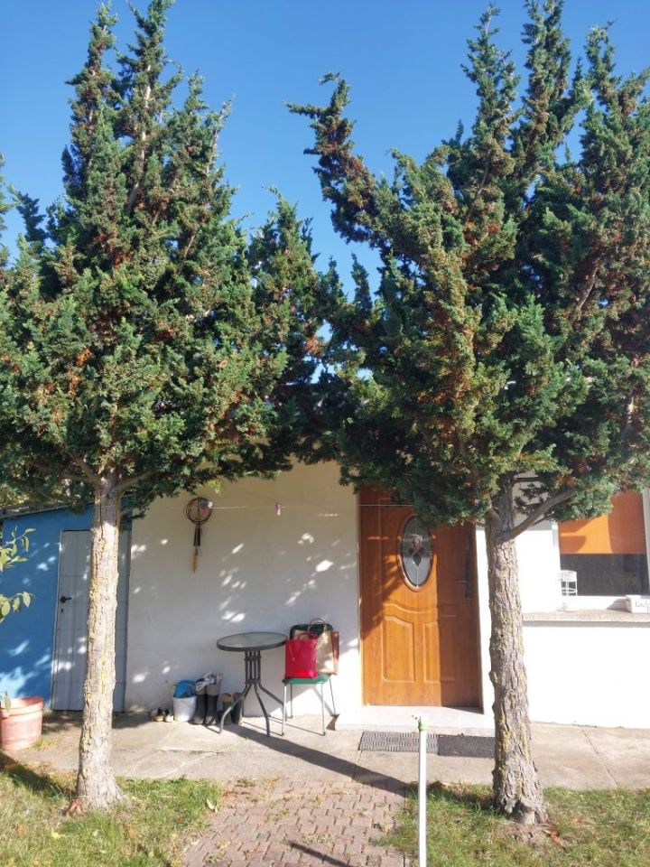 Działka rod Opalenica. Zdjęcie 4