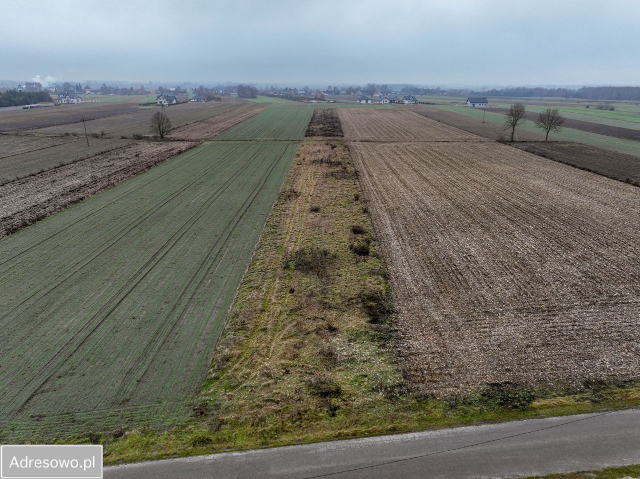 Działka rolno-budowlana Zalesie. Zdjęcie 10