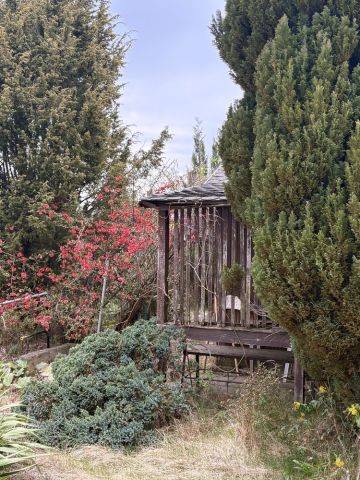 Działka rod Brzeg Dolny. Zdjęcie 1