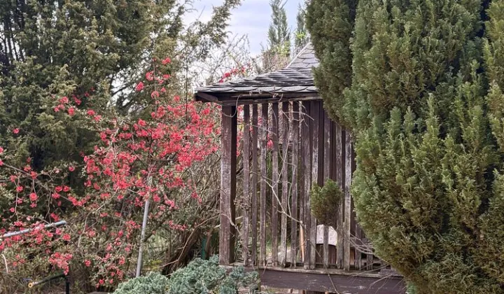 Działka rod Brzeg Dolny