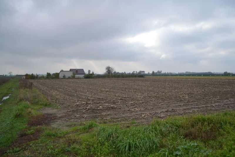 Działka rolno-budowlana Drogusza Drogusza Leśna. Zdjęcie 6