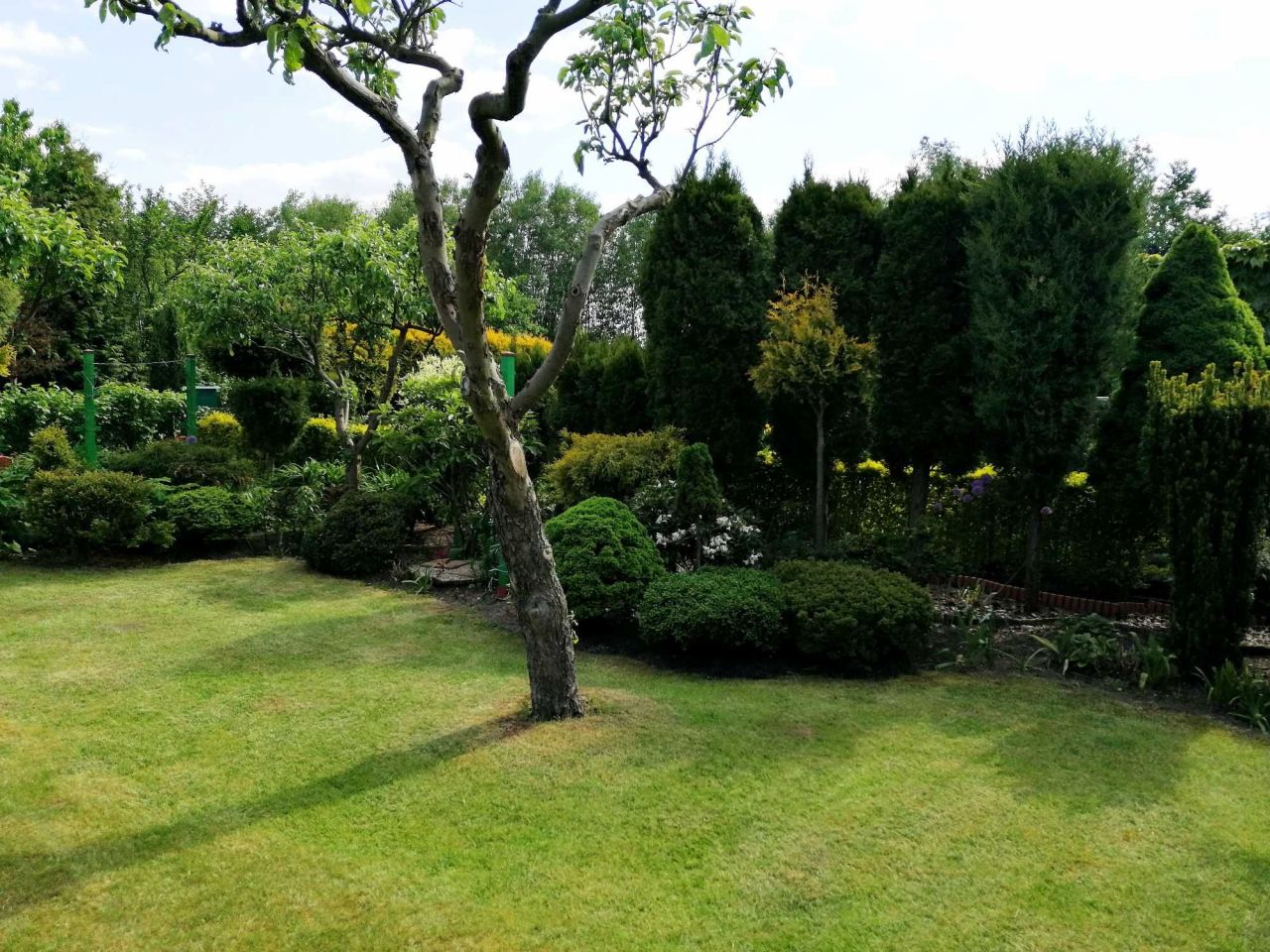 Działka rod Poznań Krzesiny, ul. Jarosławska. Zdjęcie 6