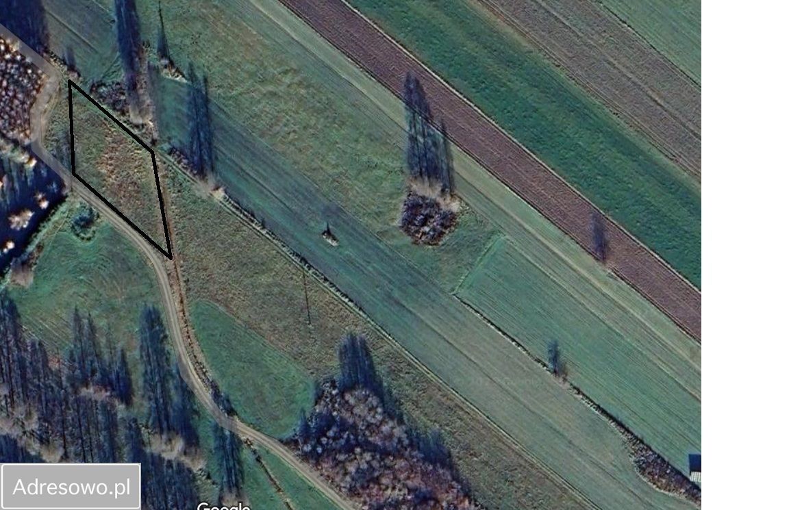 Działka rolno-budowlana Nagoszewka Pierwsza. Zdjęcie 11