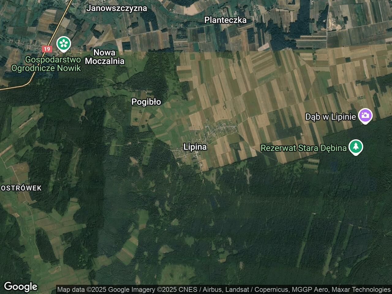 Działka rolno-budowlana Lipiny