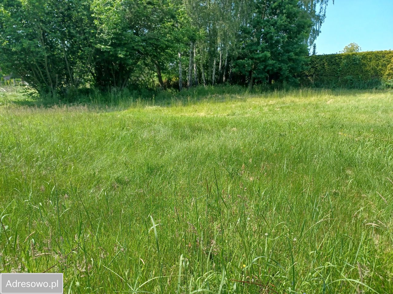 Działka budowlana Zabrze Kończyce, ul. Konrada Sitki. Zdjęcie 7